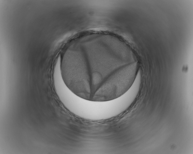 X0000090621398200708141402