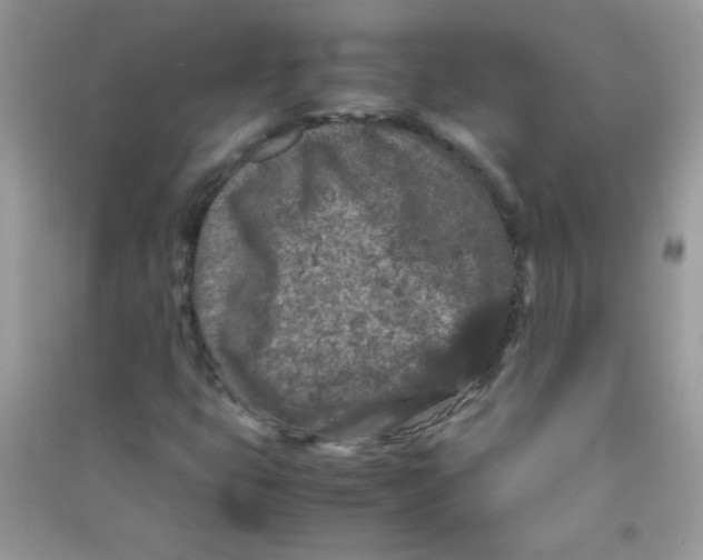 X0000090621399200708141402