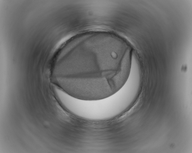 X0000090621402200708141402