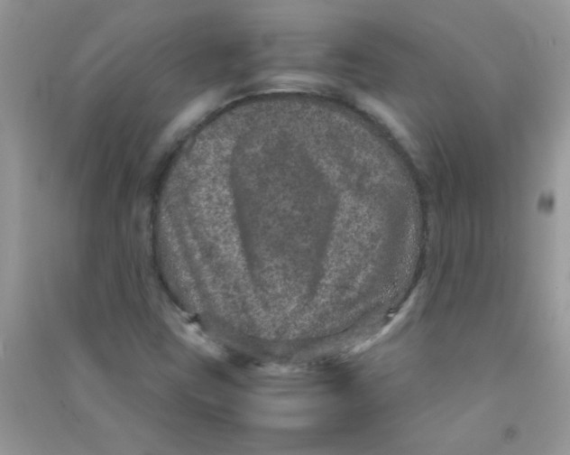 X0000090621403200708141402