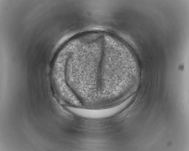 X0000090621404200708141402