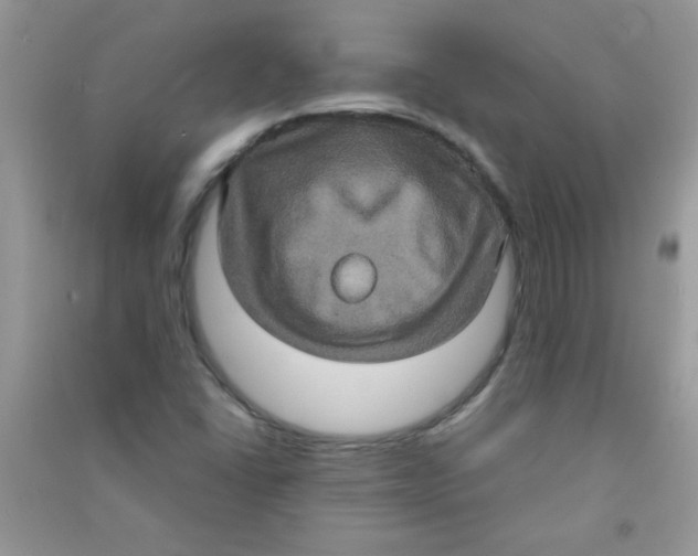 X0000090621406200708141402