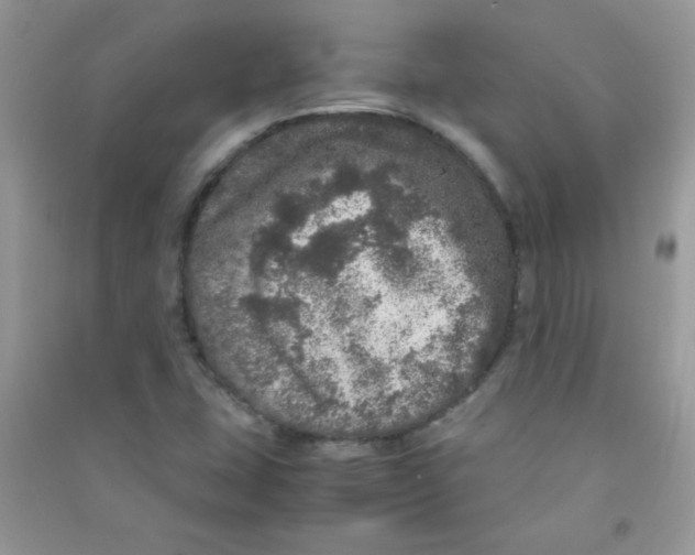 X0000090621407200708141403