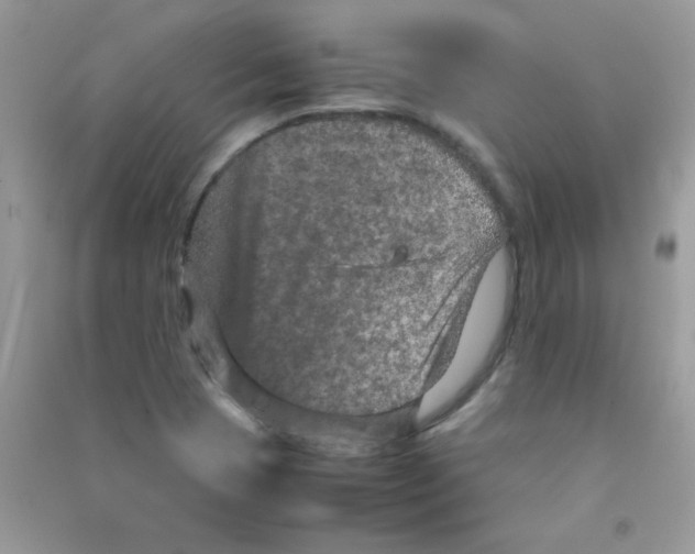 X0000090621409200708141403