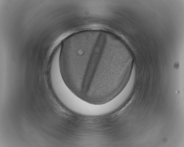 X0000090621410200708141403