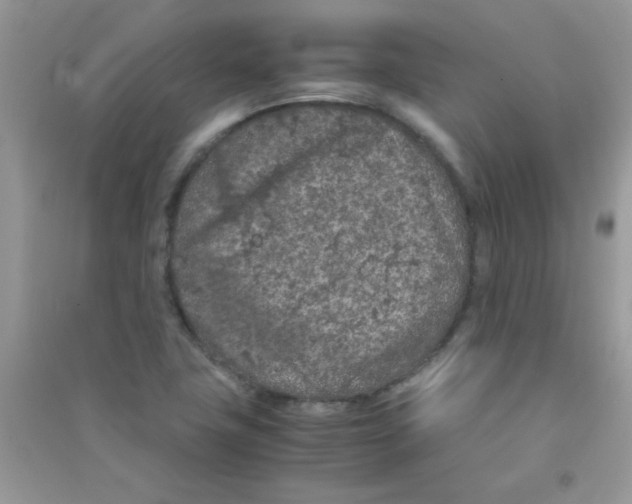 X0000090621411200708141403