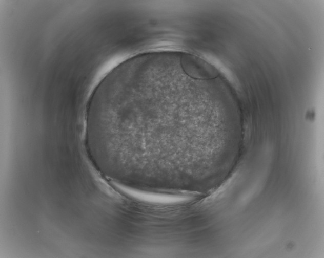 X0000090621413200708141403