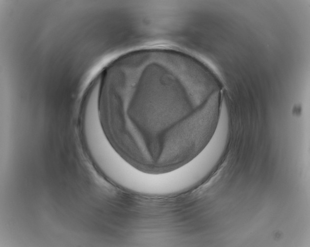 X0000090621414200708141403