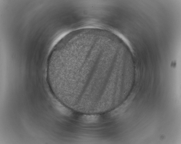 X0000090621415200708141403