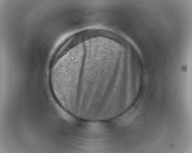 X0000090621416200708141403