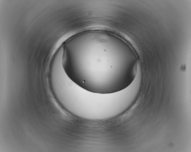 X0000090621418200708141403