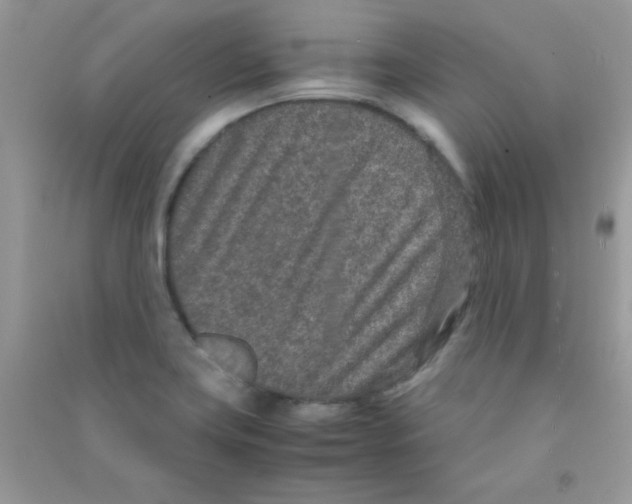 X0000090621419200708141403