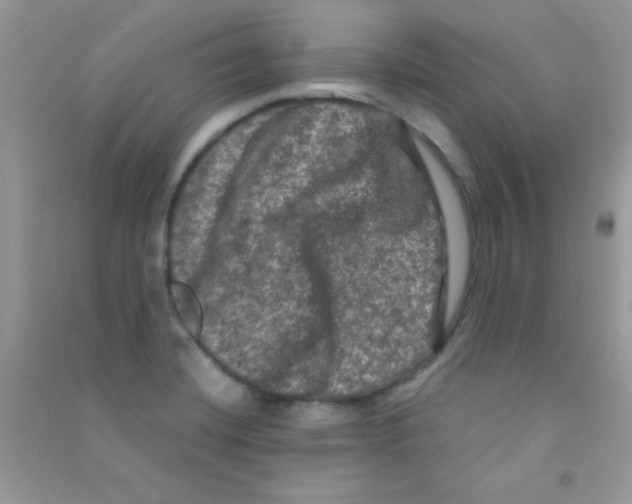 X0000090621420200708141403