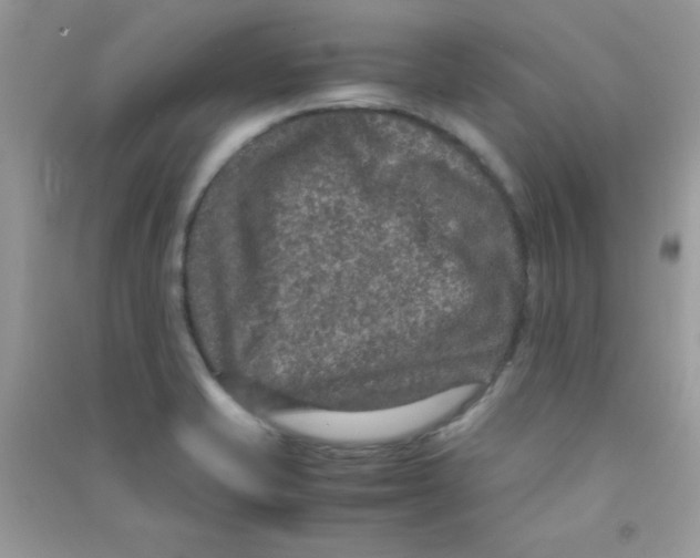 X0000090621421200708141403