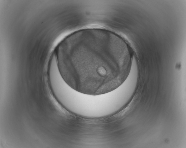 X0000090621422200708141403