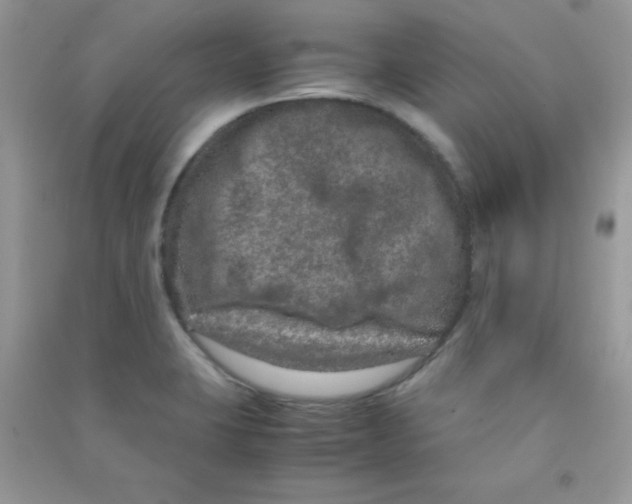 X0000090621423200708141403