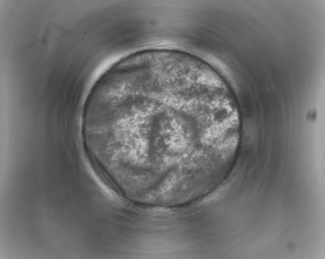 X0000090621424200708141403