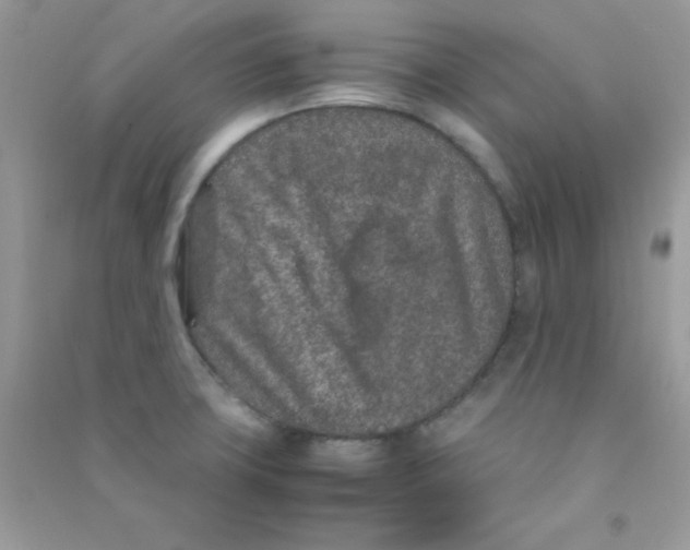 X0000090621427200708141403