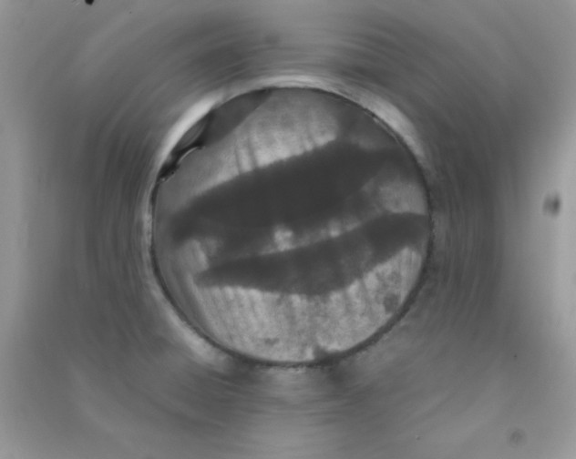 X0000090621428200708141403