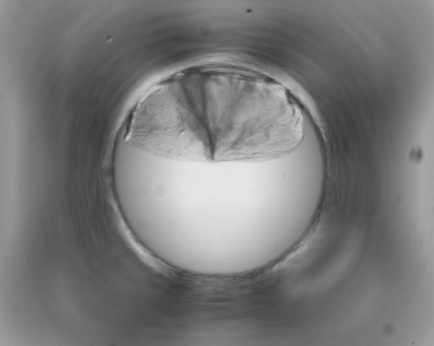 X0000090621429200708141403