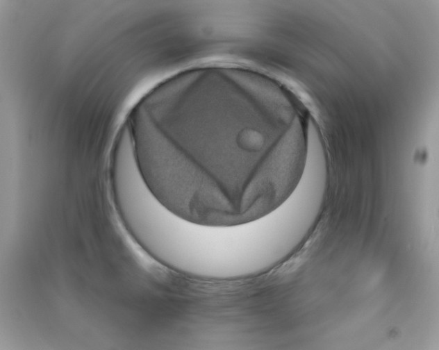 X0000090621430200708141403