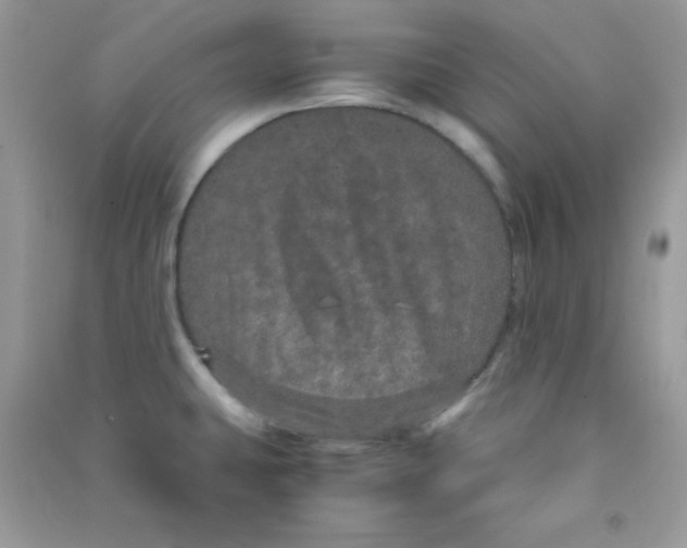 X0000090621431200708141403