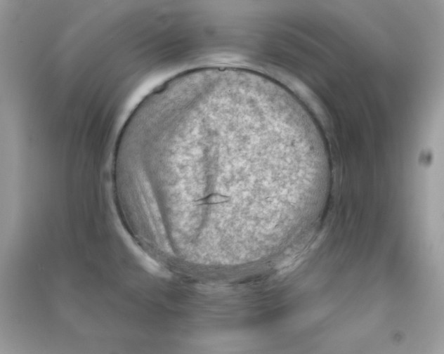 X0000090621432200708141403