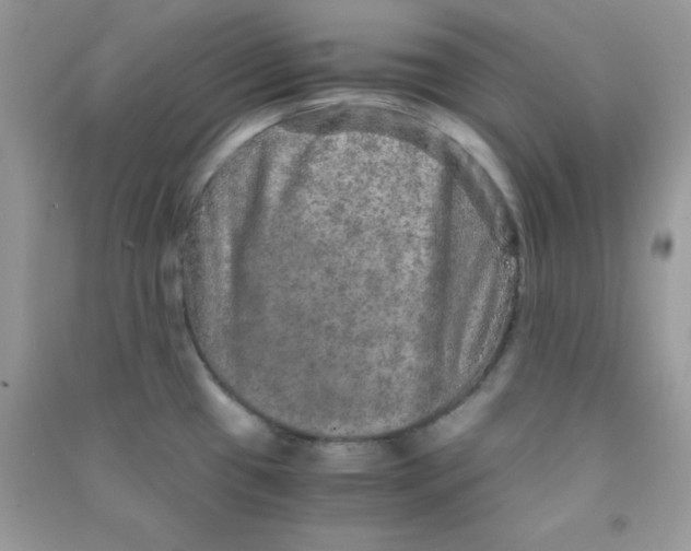 X0000090621433200708141403