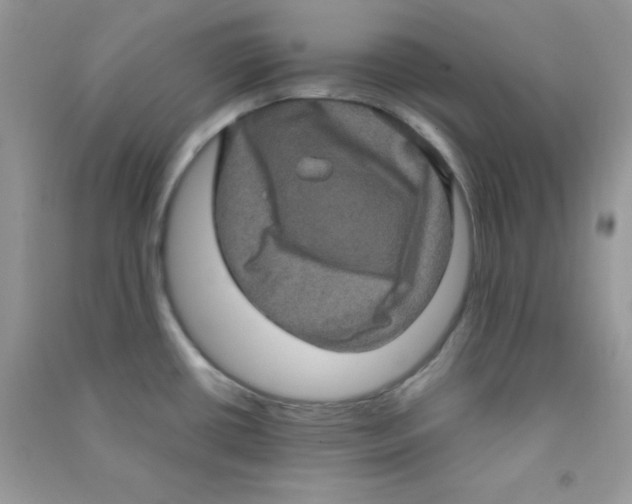 X0000090621434200708141403