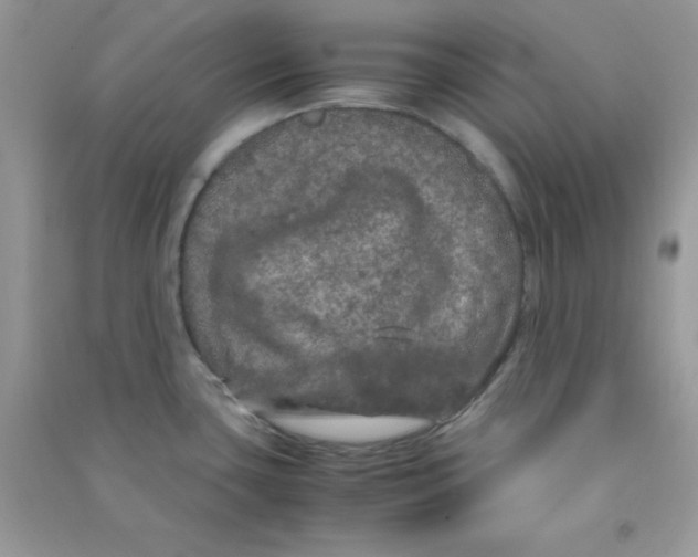 X0000090621435200708141403