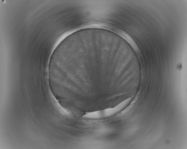 X0000090621436200708141403