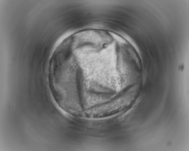 X0000090621437200708141403