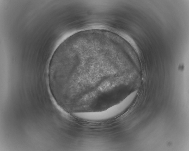 X0000090621439200708141403