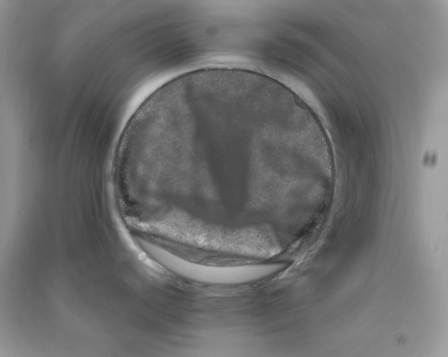 X0000090621440200708141403