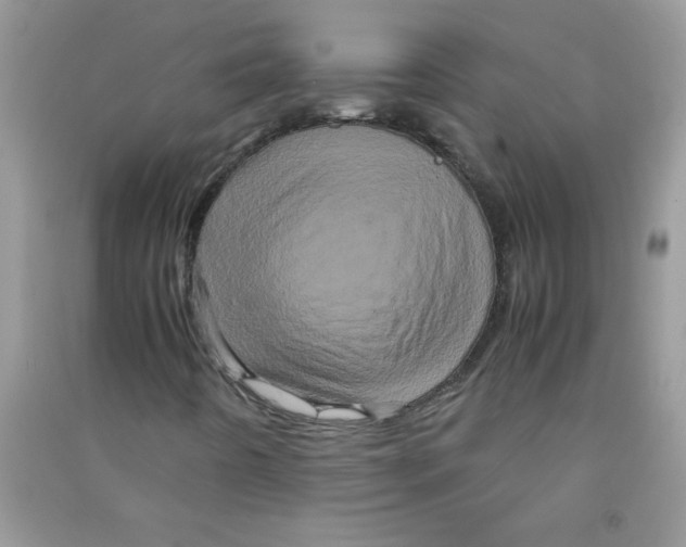 X0000090621442200708141402