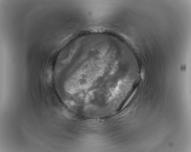 X0000090621444200708141402