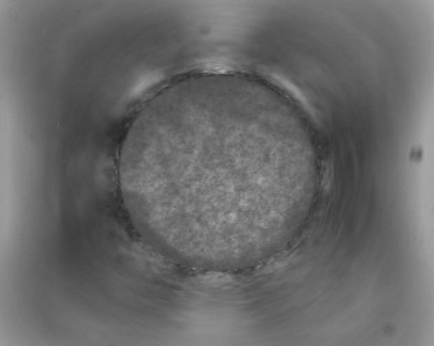 X0000090621446200708141402