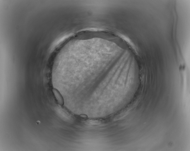 X0000090621448200708141402