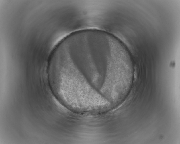 X0000090621452200708141402