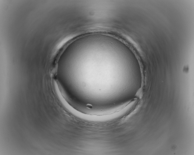 X0000090621453200708141402