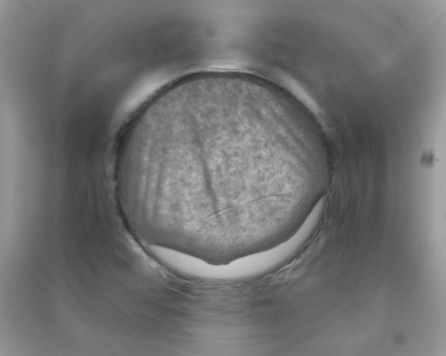 X0000090621456200708141402