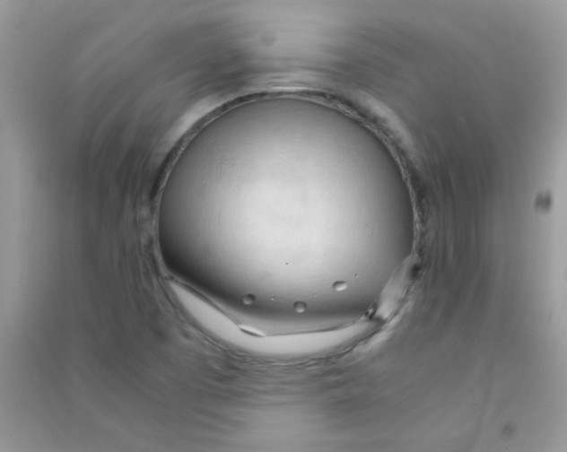 X0000090621457200708141402