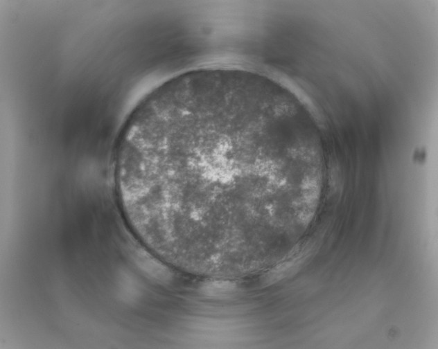 X0000090621462200708141402