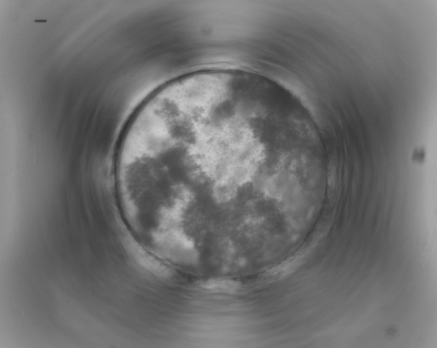 X0000090621466200708141402