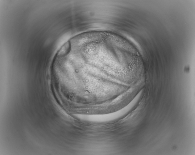 X0000090621467200708141402