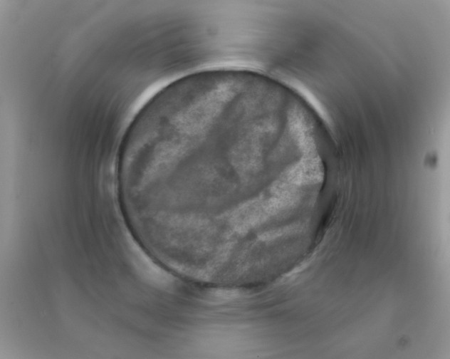 X0000090621468200708141402