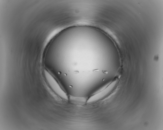 X0000090621469200708141402