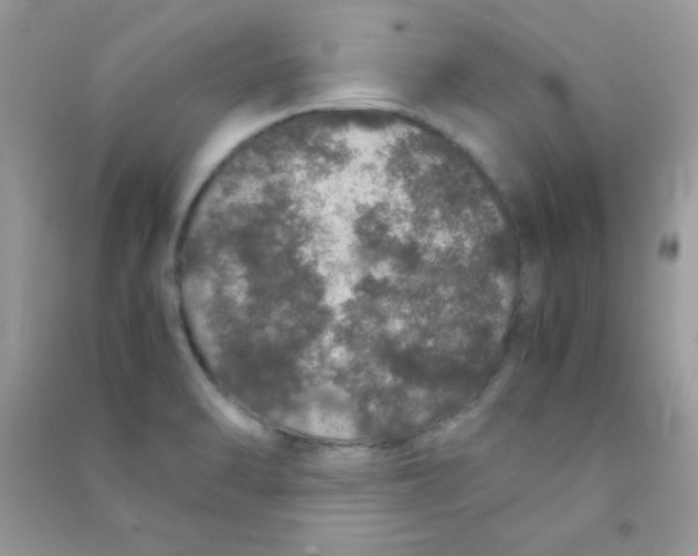 X0000090621470200708141402