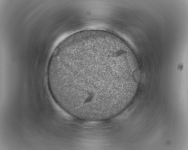 X0000090621471200708141402