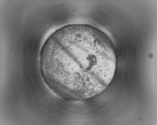 X0000090621472200708141402